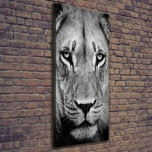 Vertikální Vertikální Foto obraz na plátně do obýváku Portrét lva ocv-39012933