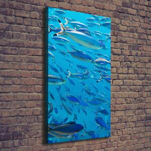 Vertikální Foto obraz canvas Korálové ryby ocv-39421860