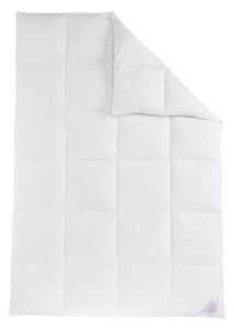 Sannwald Kazetová přikrývka z prachového peří Premium, extra teplá (140 x 200 cm) (100061729004)