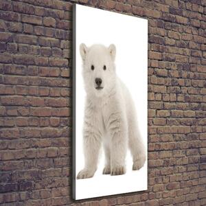 Vertikální Vertikální Foto obraz na plátně do obýváku Polární medvěd ocv-42045391