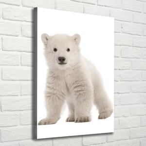 Vertikální Vertikální Foto obraz na plátně do obýváku Polární medvěd ocv-42045391