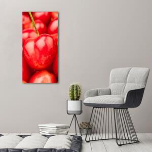 Vertikální Moderní fotoobraz canvas na rámu Višně ocv-42270807