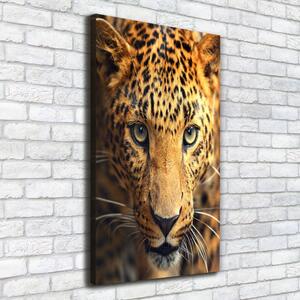 Vertikální Moderní obraz canvas na rámu Leopard ocv-42852431