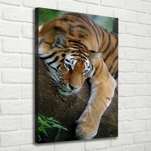 Vertikální Foto obraz na plátně Tygr na stromě ocv-4289086