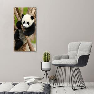 Vertikální Foto obraz na plátně Panda na stromě ocv-43324424