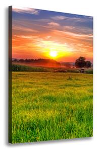 Vertikální Foto obraz na plátně Západ slunce ocv-44149731