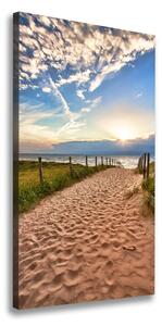 Vertikální Foto obraz na plátně Stezka na pláž ocv-44498296