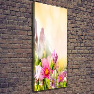 Vertikální Foto obraz canvas Polní květiny ocv-44427234