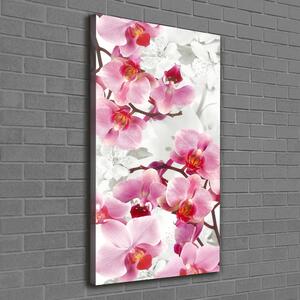 Vertikální Foto obraz na plátně Růžová orchidej ocv-44684614