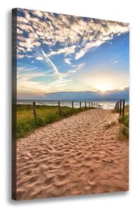 Vertikální Foto obraz na plátně Stezka na pláž ocv-44498296