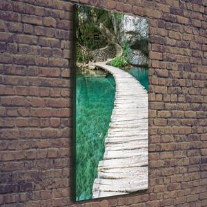 Vertikální Foto obraz na plátně Plitvická jezera ocv-44743153