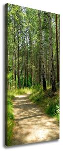 Vertikální Foto obraz canvas Břízový les ocv-4509873