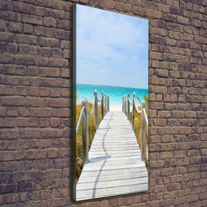 Vertikální Foto obraz na plátně Stezka na pláž ocv-45039628
