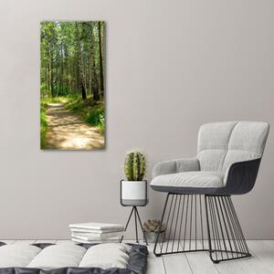 Vertikální Foto obraz canvas Břízový les ocv-4509873