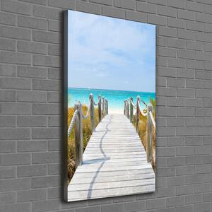 Vertikální Foto obraz na plátně Stezka na pláž ocv-45039628