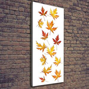 Vertikální Foto obraz na plátně Podzimní listí ocv-45893425