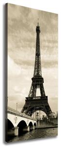 Vertikální Foto obraz na plátně Eiffelová věž Paříž ocv-47901636