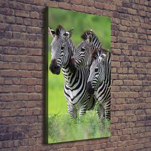 Vertikální Vertikální Foto obraz na plátně do obýváku Tři zebry ocv-48214640
