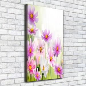 Vertikální Foto obraz canvas Polní květiny ocv-49015861