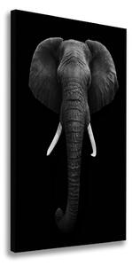 Vertikální Foto obraz na plátně Africký slon ocv-49228540