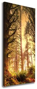 Vertikální Foto obraz na plátně Deštný prales ocv-49624439