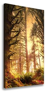 Vertikální Foto obraz na plátně Deštný prales ocv-49624439