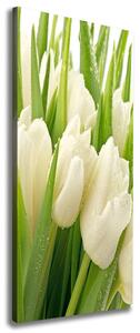 Vertikální Foto obraz na plátně Bílé tulipány ocv-49549577