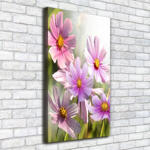 Vertikální Foto obraz canvas Polní květiny ocv-50039707