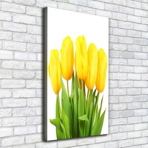 Vertikální Foto obraz na plátně Žluté tulipány ocv-50296445