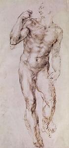Michelangelo Buonarroti - Obrazová reprodukce Sketch of David with his Sling, 1503-4, (23.3 x 50 cm)