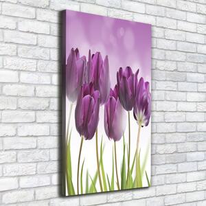 Vertikální Foto obraz na plátně Fialové tulipány ocv-52340543