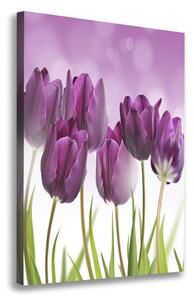 Vertikální Foto obraz na plátně Fialové tulipány ocv-52340543