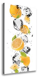 Vertikální Foto obraz canvas Citrony a voda ocv-52519204