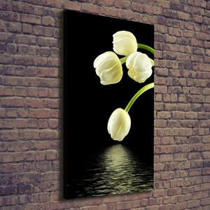 Vertikální Foto obraz na plátně Bílé tulipány ocv-53318527