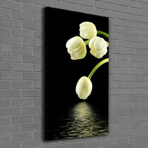 Vertikální Foto obraz na plátně Bílé tulipány ocv-53318527