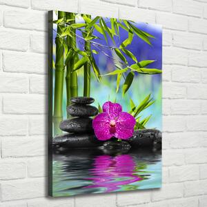 Vertikální Foto obraz na plátně Orchidej a bambus ocv-54557063