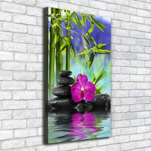Vertikální Foto obraz na plátně Orchidej a bambus ocv-54557063