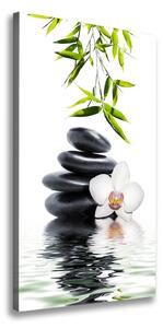 Vertikální Foto obraz na plátně Orchidej a kameny ocv-54884839