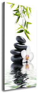 Vertikální Foto obraz na plátně Orchidej a kameny ocv-54884839
