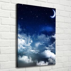 Vertikální Foto obraz na plátně Hvězdné nebe ocv-55657351