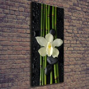 Vertikální Foto obraz na plátně Orchidej a bambus ocv-55995271
