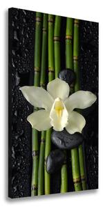Vertikální Foto obraz na plátně Orchidej a bambus ocv-55995271