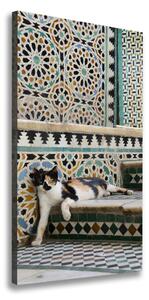 Vertikální Foto obraz canvas Kocour v Maroku ocv-56384997