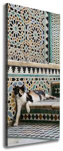 Vertikální Foto obraz canvas Kocour v Maroku ocv-56384997