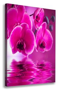 Vertikální Foto obraz na plátně Růžová orchidej ocv-58002130