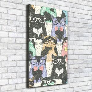 Vertikální Foto obraz na plátně Kočky v brýlích ocv-58024892
