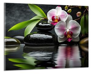 Obraz na plátně Orchidej a zen kameny , jednodílný 3354AX