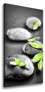 Vertikální Foto obraz na plátně Listí kamení zen ocv-59372459