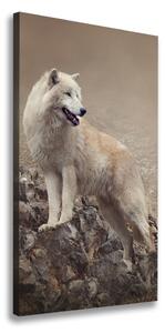 Vertikální Foto obraz canvas Vlk na skále ocv-60381309