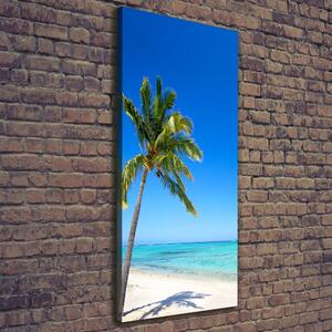 Vertikální Foto obraz na plátně Tropická pláž ocv-60645814